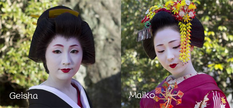 sự khác nhau giữa Geisha và Maiko